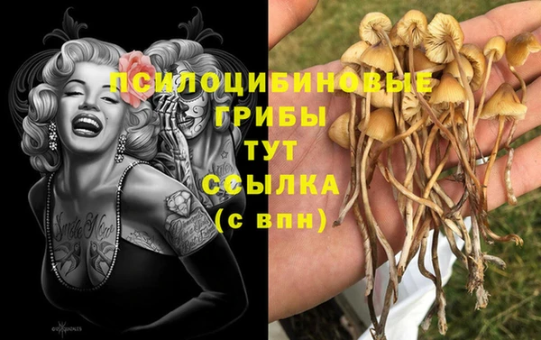 меф Алексеевка